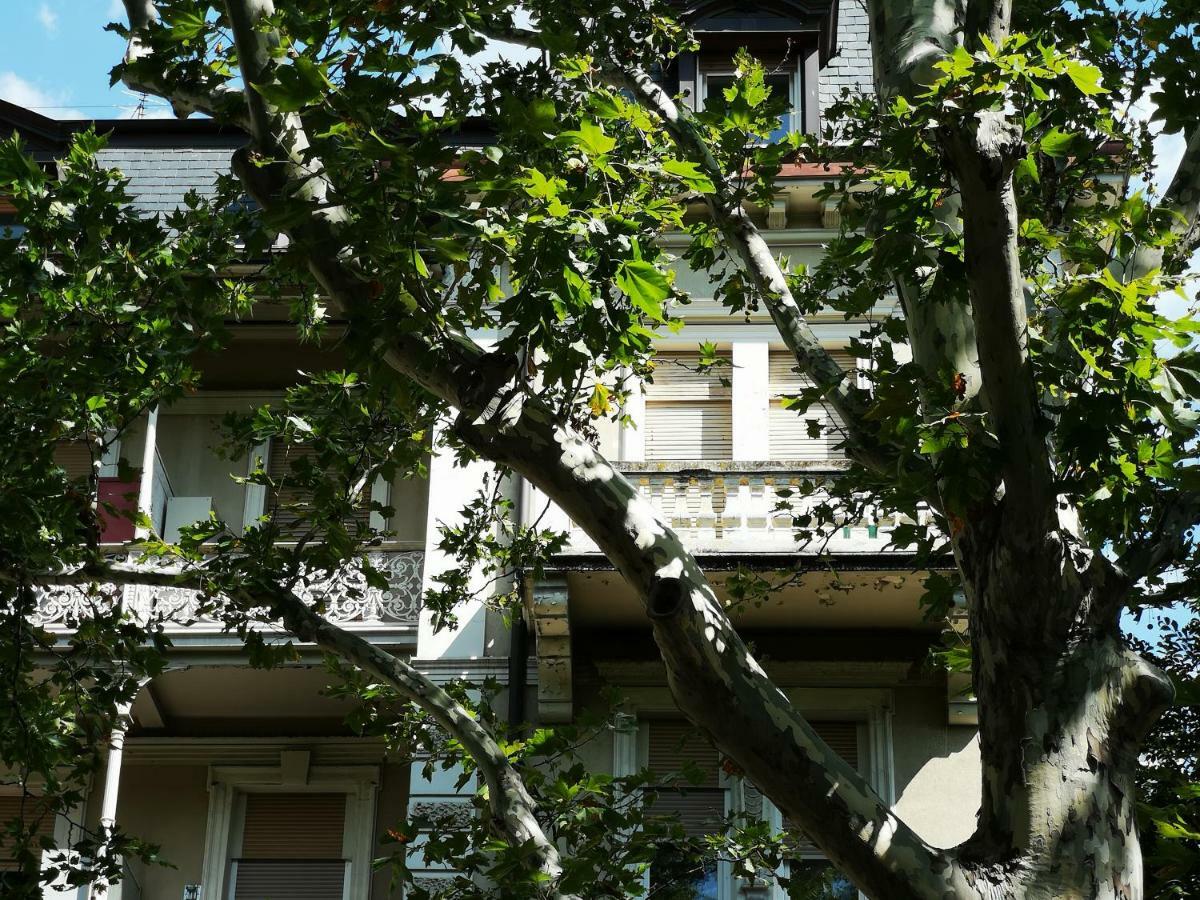Spazioso E Accogliente Nel Centro Di Meran Exterior foto